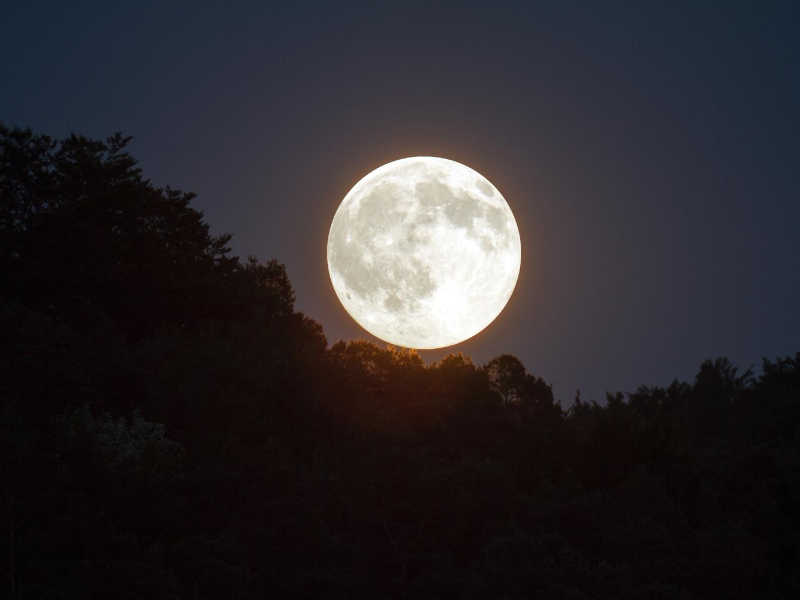 de volle maan van augustus 2020