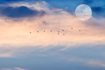 volle maan van maart 2021