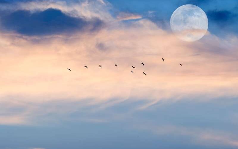 volle maan van maart 2021