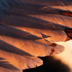 tips om contact te maken met je spirituele gids