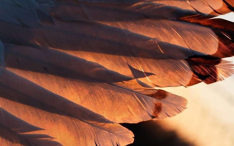 tips om contact te maken met je spirituele gids