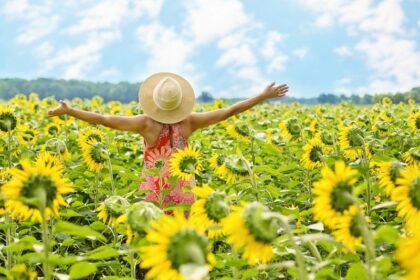 ontdekken wat je wilt