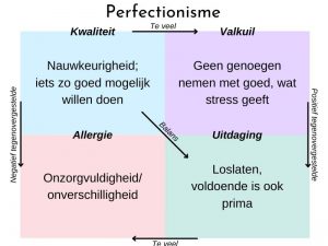 perfectionisme kernkwadrant
