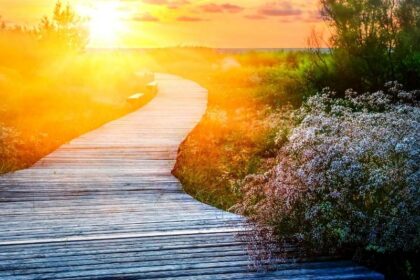 je zielspad herkennen