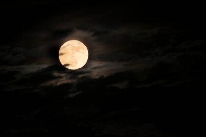 volle maan november 2022