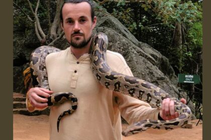 symboliek van de slang