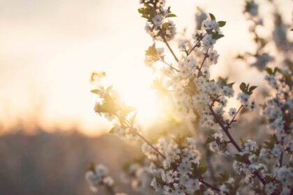 boodschappen van je hogere zelf deel twee