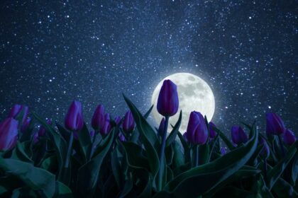 volle maan april 2023