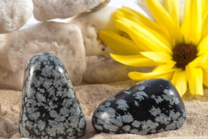 sneeuwvlok obsidiaan