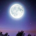 volle maan november 2023