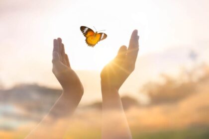 spirituele betekenis vlinder