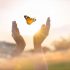 spirituele betekenis vlinder