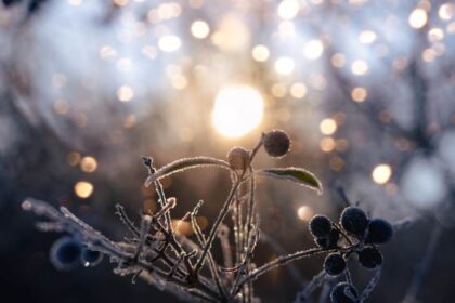 winter solstice winterzonnewende 2023