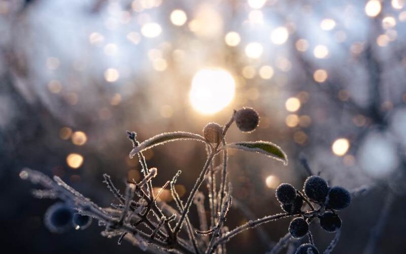 winter solstice winterzonnewende 2023