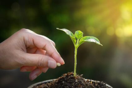 generator human design