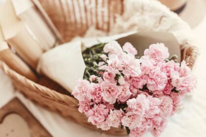 human design ivf behandeling