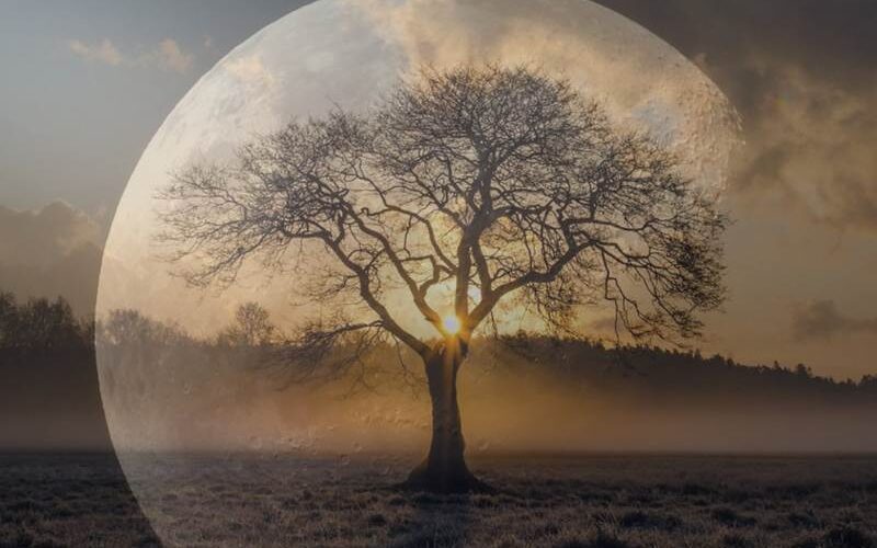 verbonden zijn en in verbinding zijn