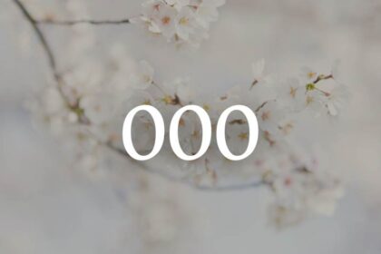 betekenis 000 en 0000