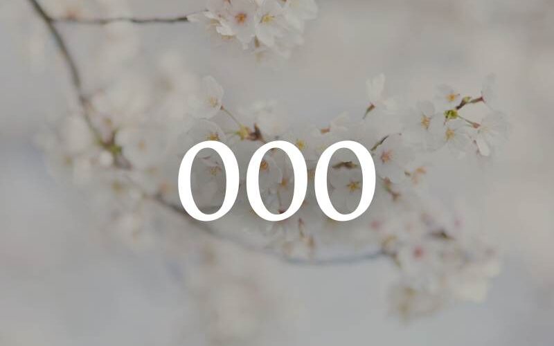 betekenis 000 en 0000