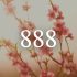 de 888 betekenis