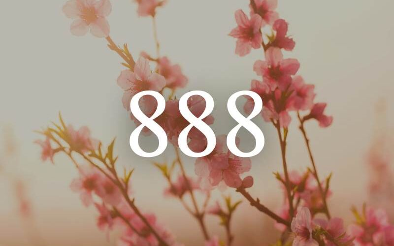 de 888 betekenis