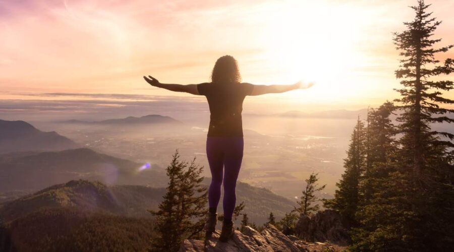 human design manifestor