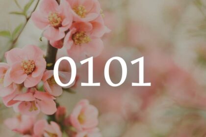 de 0101 betekenis