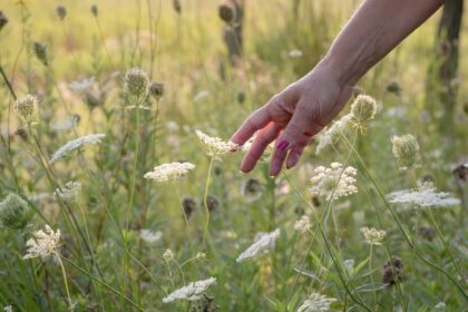 kenmerken hoogsensitief