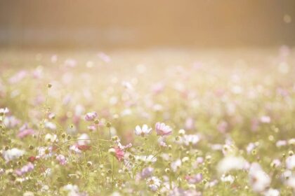 rauw aflevering drie mei tweevier