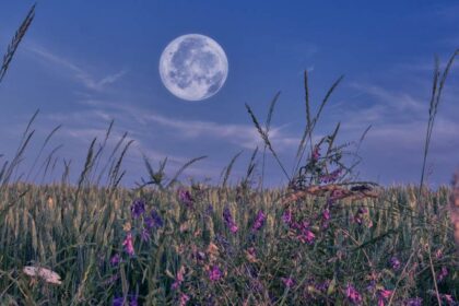 volle maan augustus 2024