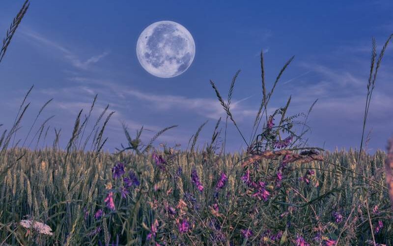 volle maan augustus 2024