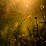 meditatie om los te laten