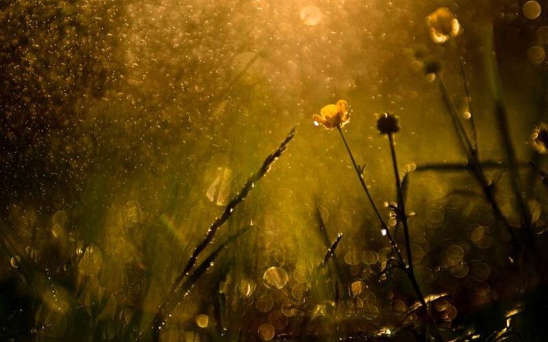 meditatie om los te laten