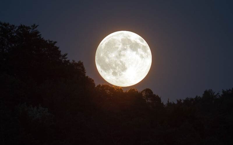 volle maan januari 2025
