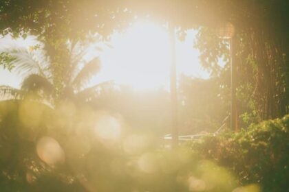 signalen van je ziel