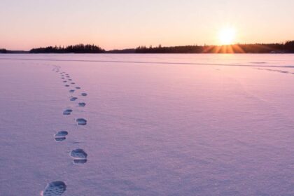 signalen dat je op je pad loopt.