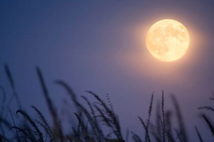 volle maan september 2025