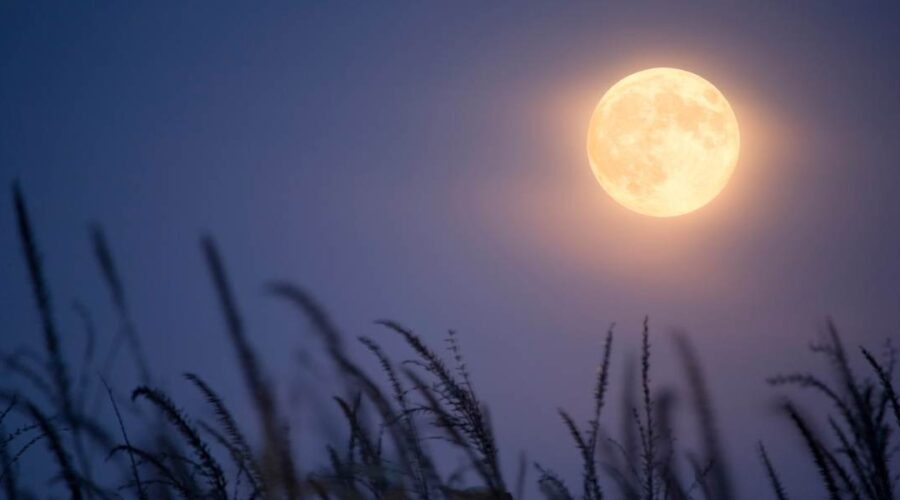 volle maan september 2025