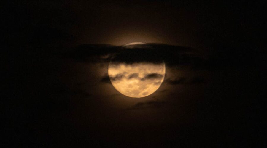 volle maan november 2025