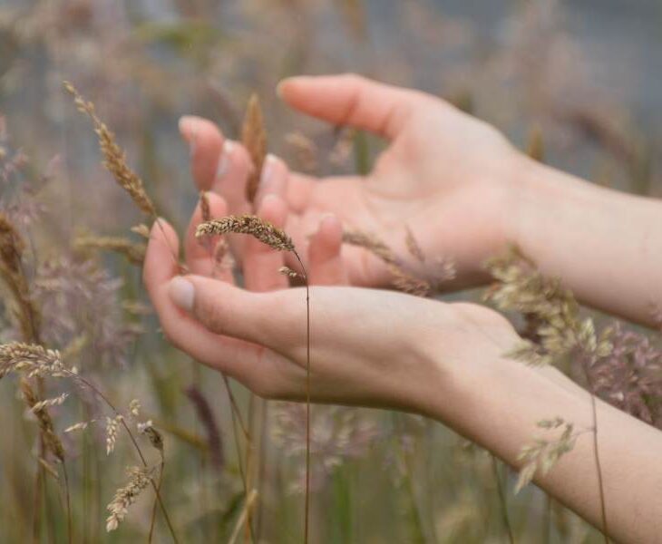 kracht van hooggevoeligheid