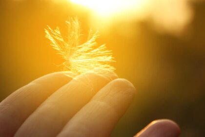 paranormale gaven ontwikkelen