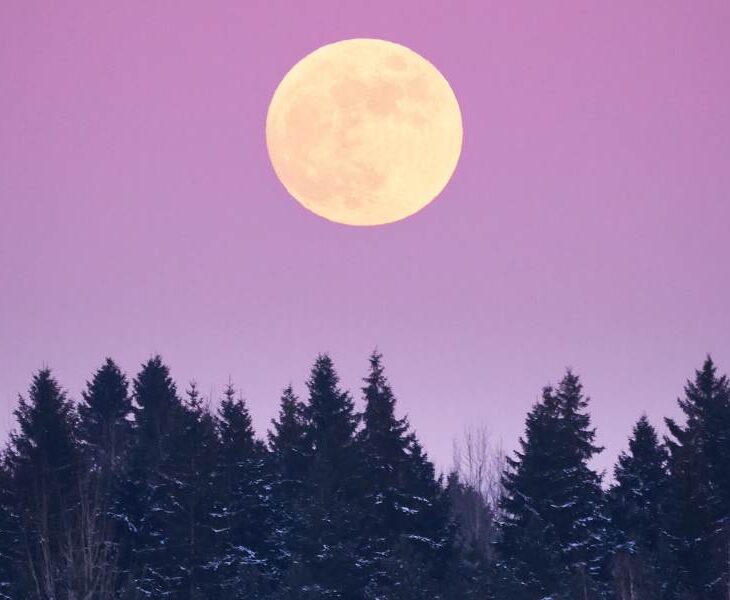 volle maan december 2025