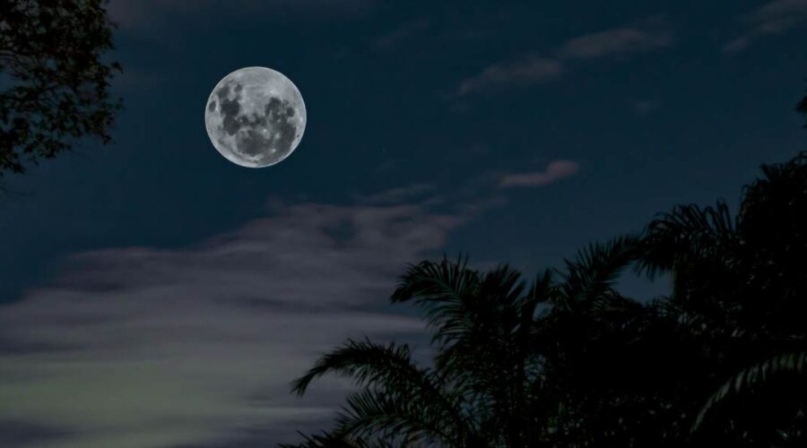 volle maan januari 2026