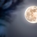 volle maan februari 2026