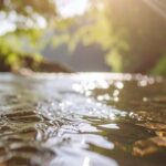 human design poorten