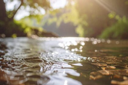 human design poorten