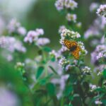 engelen communiceren