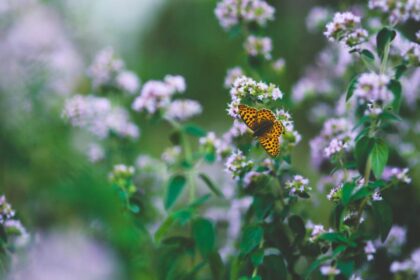 engelen communiceren