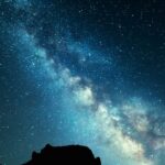 starseed sterrenkind