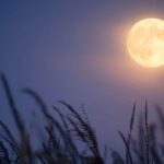 volle maan juni 2026